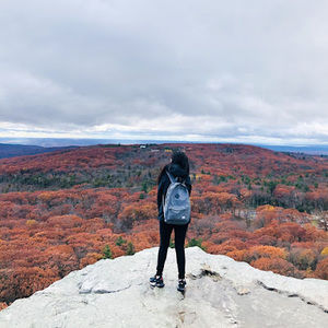 Meet your Posher, Ho yi